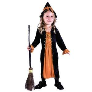  Renaissance Witch Costume Child Toddler 3T 4T Halloween 