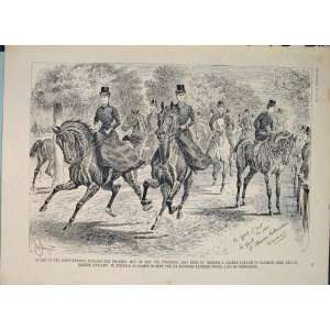   Ellimans Embrocation Horses Horse Riding Park 1889