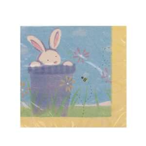  of signs of spring 20 count 12 7/8 x 12 7/8 napkins 