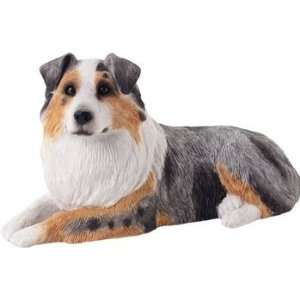  Australian Shepherd   Mid Size 