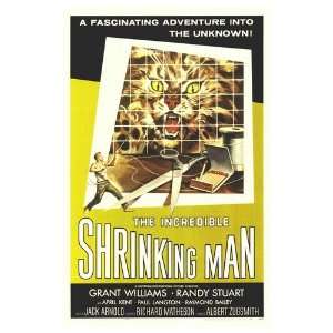  Incredible Shrinking Man Movie Poster, 11 x 17 (1957 