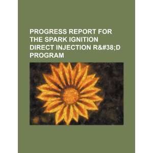  Progress report for the spark ignition direct injection R 