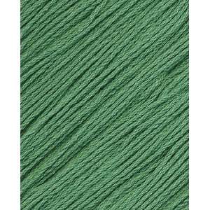  Tahki Cotton Classic Yarn 3774 Pine Green Arts, Crafts & Sewing
