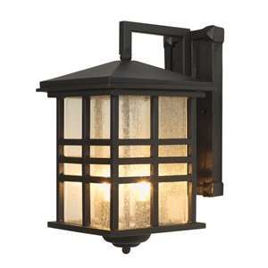  Trans Globe 4636 WB Outdoor Sconce