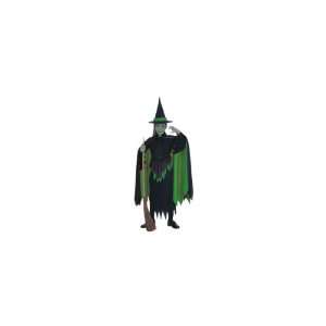  Rubies Costume Co R18581 M Wicked Witch Child Size Medium 