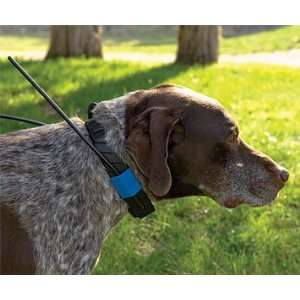  Orvis SportDog Tex GPS Tracker/Trainer Collar Pet 