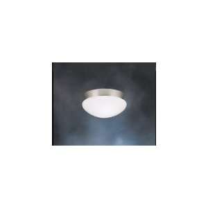  Flush Mount   8102