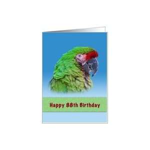  Birthday, 88th, Green Parrot Card Toys & Games