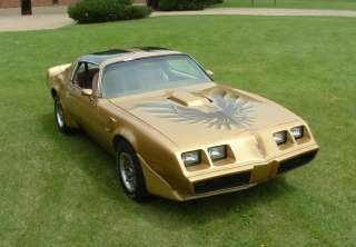 1979 81 Pontiac Trans Am Gold Decal Kit Complete  