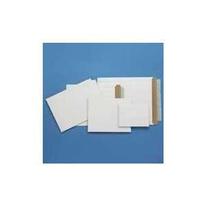  ENVELOPE,9X11.5 MAILER,WE