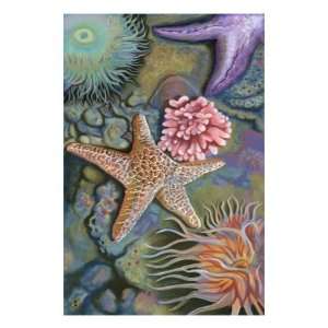  Tidepool Scene Animal Premium Poster Print, 12x16