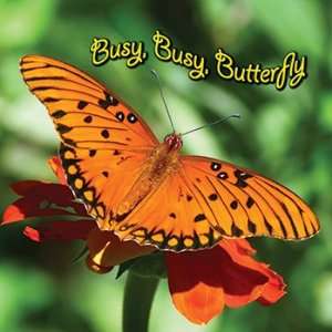  Busy Busy Butterfly Board Book