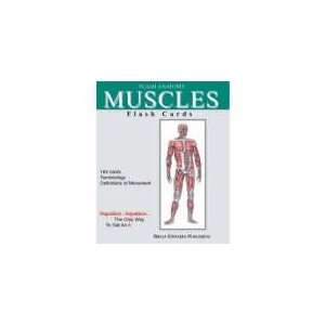  Muscles Flash Cards Toys & Games