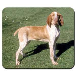  Bracco Italiano Mousepad