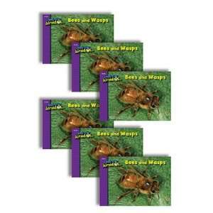  BEES AND WASPS 6 PACK I USED TO BE AFRAID OF SERIES GR K 3 