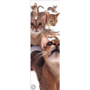  Abyssinians Poster Print, 12x36