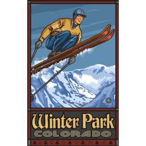  Northwest Art Mall Winter Park Colorado Ski Jumper Artwork 