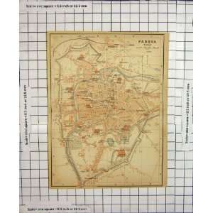   Antique Map Italy Street Plan Padova Canale Alicorno