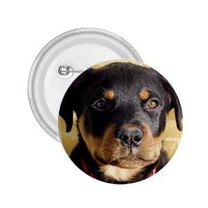  Rottweiler Puppy Dog 1 2.25in Button D0756 Everything 