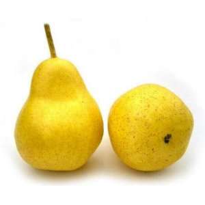  Artificial Yellow Bartlett Pear, Box of 12 Everything 