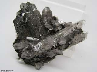 Buy Mineral To MinFans★ Ferberite With Quartz Cluster  