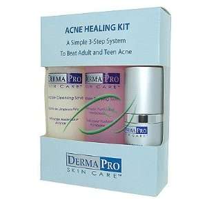  Dermapro Acne Healing Kit 1 Kit AHK3 [Health and Beauty 