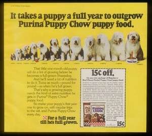1979 Old English Sheepdog 12 photo Puppy Chow print ad  