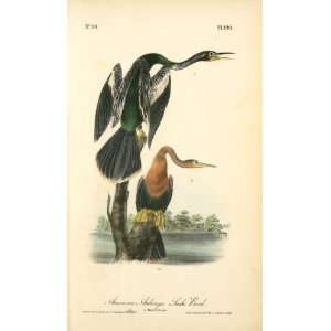  Hand Made Oil Reproduction   John James Audubon   32 x 54 
