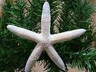 new tj s starfish sea shell beach ocean water christmas
