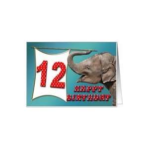  Baby Elephant card for a 12 year old Card Toys & Games