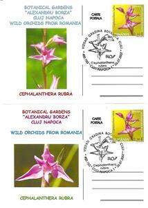 ROMANIA 2007 MAXI CARDS WILD ORCHIDS BOTANICAL GARDEN  