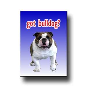 English Bulldog Got? Fridge Magnet No 1