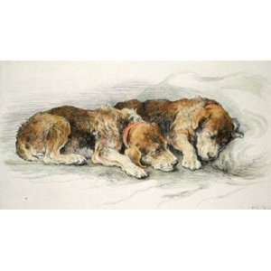 Airedale Puppies Etching Dicksee, Herbert Animals, Dogs Birds 