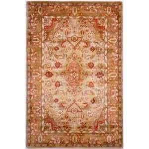 Rugs America Cyrus 9919 Taupe 18 x 27 Area Rug 