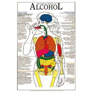Harmful Effects Of Alcohol Anatomical Chart Laminated HDE 2L  