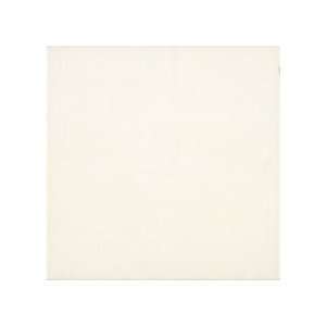  Armstrong Suede 9 x 13 White Ceramic Tile