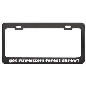 Got Ruwenzori Forest Shrew? Animals Pets Black Metal License Plate 