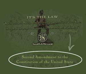 Smith and Wesson Its The Law GREEN Adult T shirt  