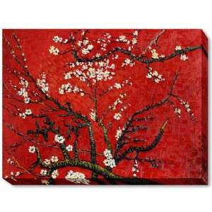 Branches of an Almond Tree in Blossom Canvas Art by Vincent Van Gogh 