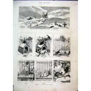  1885 Digging Snowed Up Train Scotland Bull Dog Scenes 