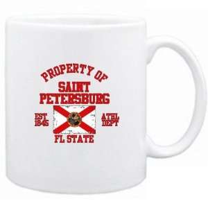   Of Saint Petersburg / Athl Dept  Florida Mug Usa City