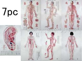 7pc32 Wall Posters Acupoints Chinese Acupuncture Point  