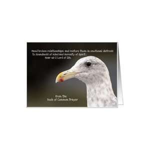  Prayer for restoration of mind and spirit, gull Card 