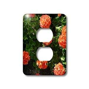 Florene Fowers   Orang I Pretty   Light Switch Covers   2 plug outlet 