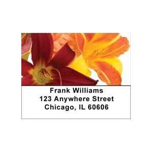 Day Lilies Address Labels