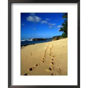  Footprints in the Sand on the North Shore, Oahu, Hawaii 