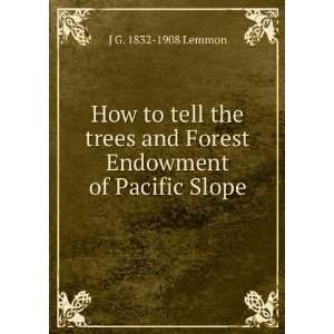   and Forest Endowment of Pacific Slope J G. 1832 1908 Lemmon Books