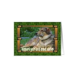  Support Your Local Animal Shelter Pet Card Health 