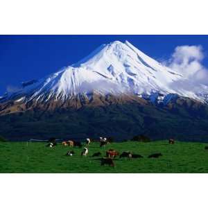   Dormant Volcano Mt. Taranaki, or Egmont, Taranaki, New Zealand , 72x48