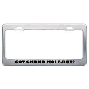  Got Ghana Mole Rat? Animals Pets Metal License Plate Frame 
